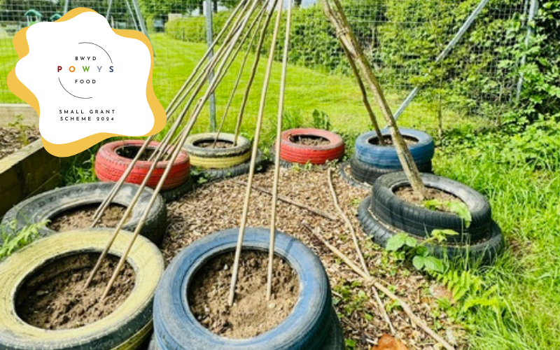 Bwyd Powys Food Small Grants Summary 2024